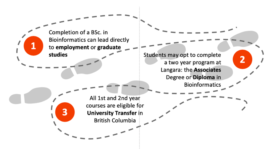 Students have many pathways to study Bioinformatics at Langara.