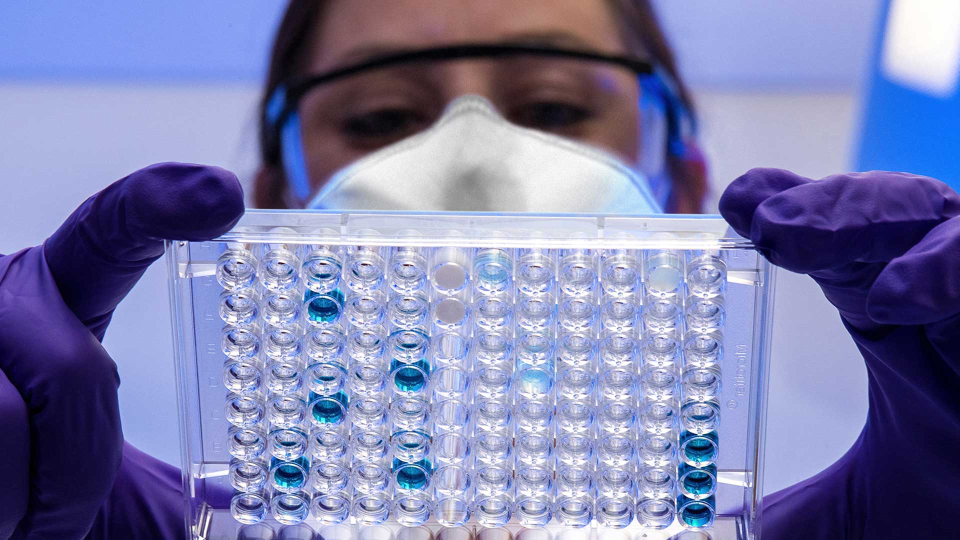 Woman holding up and analyzing biological data in a laboratory.