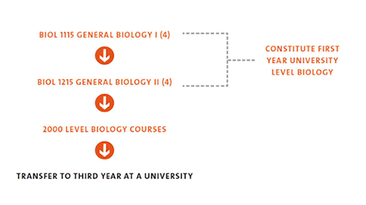 Biology majors have the option of transferring to third year at university.