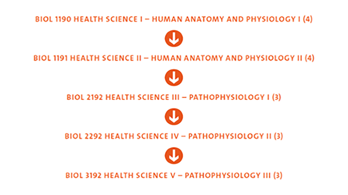  Biology students applying for the Nursing program can take BIOL 1190, BIOL 1191, BIOL 2192, BIOL 2292 and BIOL 3192.